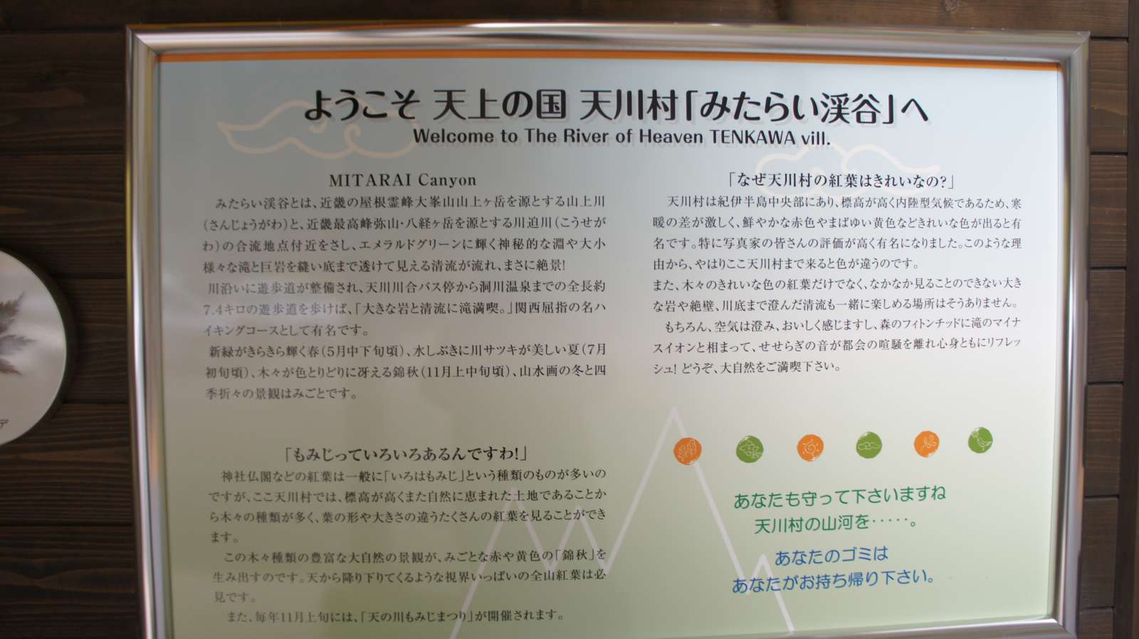 dsc00006.jpg