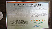 dsc00006_thumb.jpg