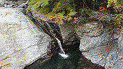dsc00008_thumb.jpg