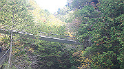 dsc00010_thumb.jpg