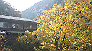 dsc00011_thumb.jpg