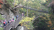 dsc00012_thumb.jpg
