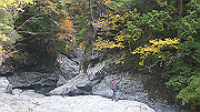 dsc00013_thumb.jpg