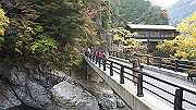 dsc00015_thumb.jpg