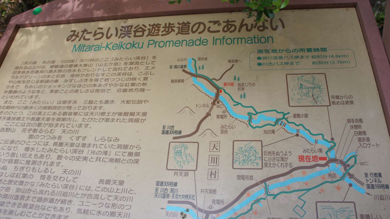 dsc00016.jpg