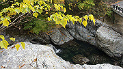dsc00017_thumb.jpg