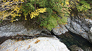dsc00018_thumb.jpg