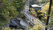 dsc00021_thumb.jpg