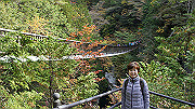 dsc00022_thumb.jpg