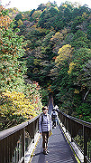 dsc00025_thumb.jpg
