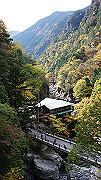 dsc00026_thumb.jpg