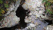 dsc00028_thumb.jpg
