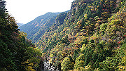 dsc00029_thumb.jpg