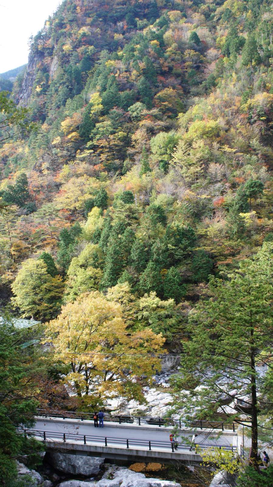 dsc00030.jpg