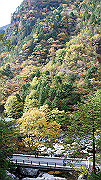 dsc00030_thumb.jpg