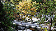 dsc00031_thumb.jpg