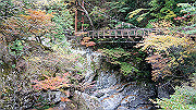 dsc00033_thumb.jpg