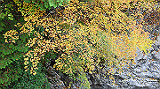 dsc00034_thumb.jpg