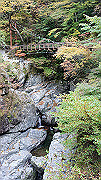 dsc00035_thumb.jpg