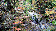 dsc00037_thumb.jpg