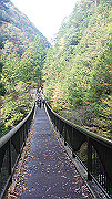 dsc00041_thumb.jpg