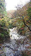dsc00044_thumb.jpg