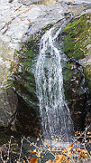 dsc00046_thumb.jpg