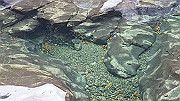 dsc00051_thumb.jpg