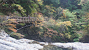 dsc00054_thumb.jpg