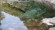 dsc00055_thumb.jpg