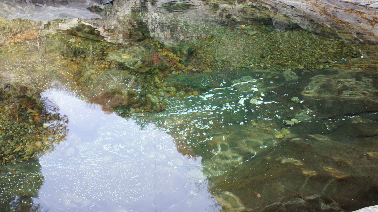 dsc00057.jpg