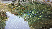 dsc00057_thumb.jpg