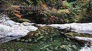 dsc00061_thumb.jpg