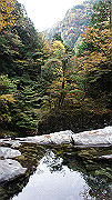dsc00062_thumb.jpg