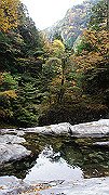 dsc00063_thumb.jpg