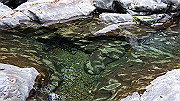 dsc00065_thumb.jpg