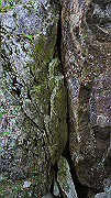 dsc00066_thumb.jpg