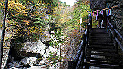 dsc00067_thumb.jpg