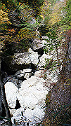 dsc00068_thumb.jpg