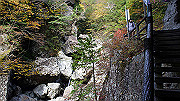 dsc00069_thumb.jpg