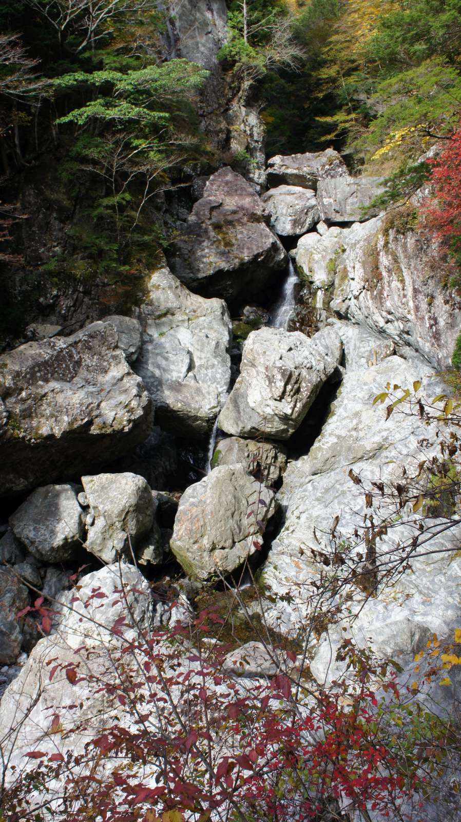 dsc00070.jpg