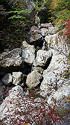 dsc00070_thumb.jpg