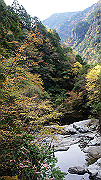 dsc00071_thumb.jpg