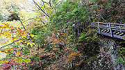 dsc00073_thumb.jpg