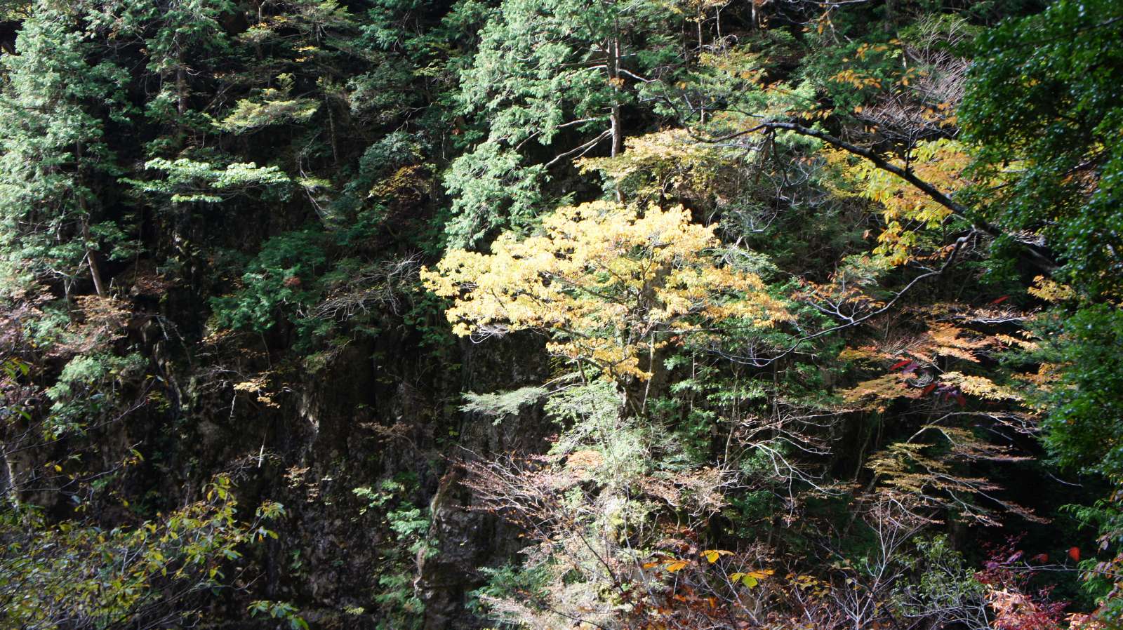 dsc00077.jpg