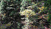 dsc00077_thumb.jpg