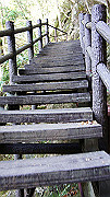 dsc00078_thumb.jpg