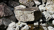 dsc00079_thumb.jpg