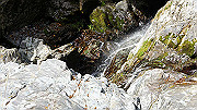dsc00082_thumb.jpg