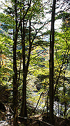 dsc00086_thumb.jpg